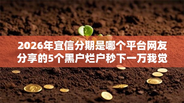 2026年宜信分期是哪个平台网友分享的5个黑户烂户秒下一万我觉得不错！