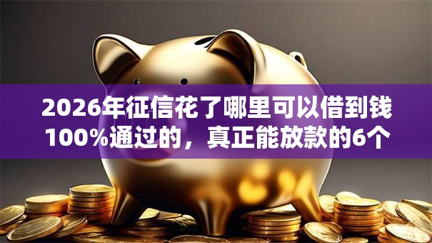 2026年征信花了哪里可以借到钱100%通过的，真正能放款的6个个人小额贷款平台推荐