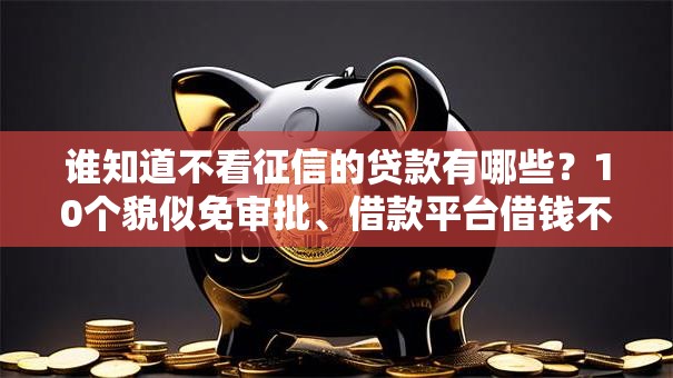 谁知道不看征信的贷款有哪些？10个貌似免审批、借款平台借钱不看征信合集