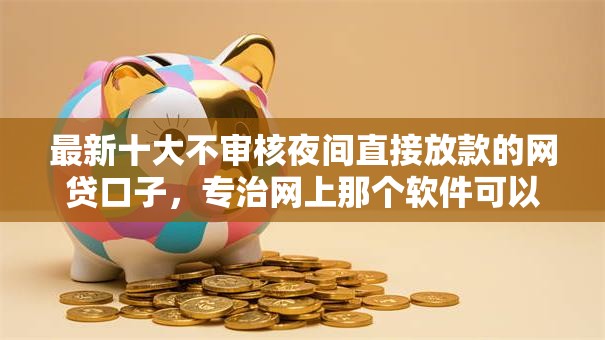 最新十大不审核夜间直接放款的网贷口子，专治网上那个软件可以借钱