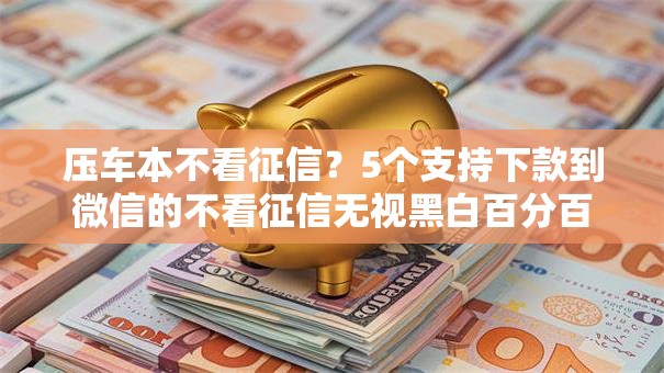 压车本不看征信?5个支持下款到微信的不看征信无视黑白百分百下款口子 压车本不看征信?5个支持下款到微信的不看征信无视黑白百分百下款口子