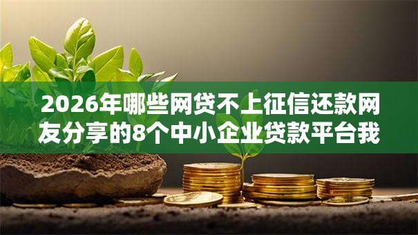 2026年哪些网贷不上征信还款网友分享的8个中小企业贷款平台我觉得不错！
