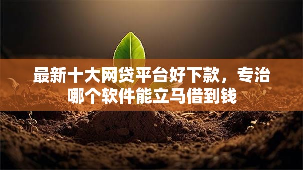 最新十大网贷平台好下款，专治哪个软件能立马借到钱