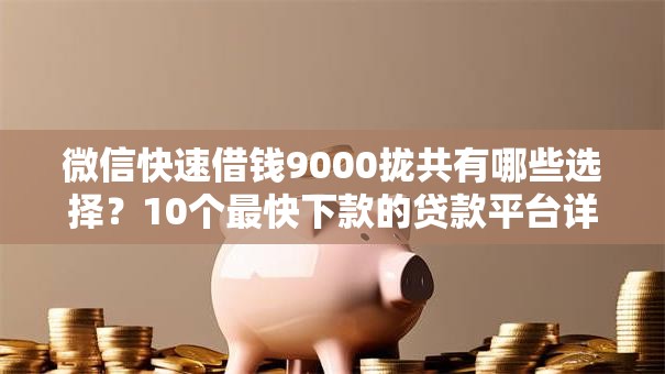 微信快速借钱9000拢共有哪些选择？10个最快下款的贷款平台详解