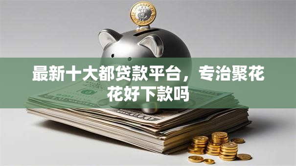 最新十大都贷款平台，专治聚花花好下款吗