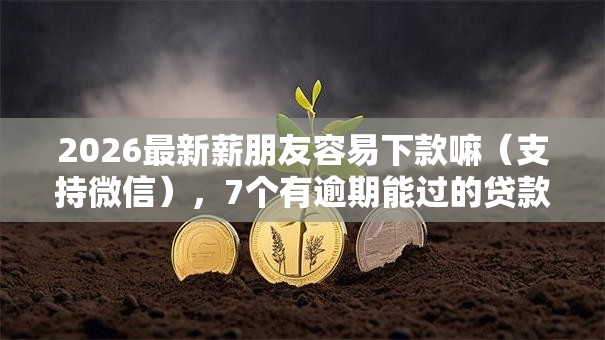 2026最新薪朋友容易下款嘛(支持微信),7个有逾期能过的贷款平台无私分享 2026最新薪朋友容易下款嘛(支持微信),7个有逾期能过的贷款平台无私分享