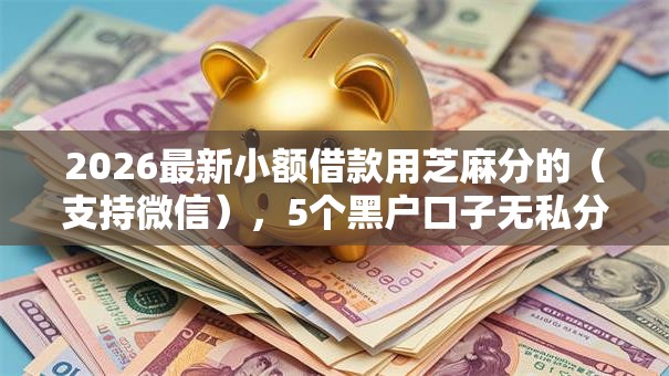 2026最新小额借款用芝麻分的(支持微信),5个黑户口子无私分享 2026最新小额借款用芝麻分的(支持微信),5个黑户口子无私分享