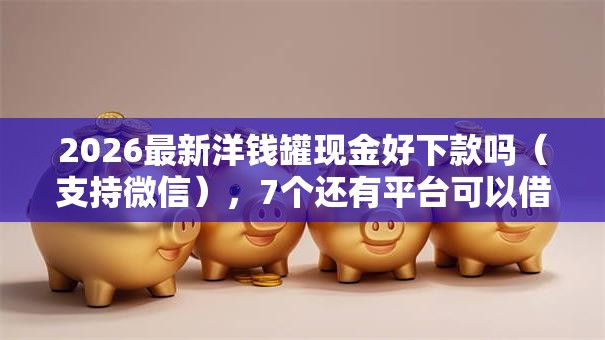 2026最新洋钱罐现金好下款吗（支持微信），7个还有平台可以借钱无私分享