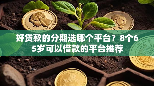 好贷款的分期选哪个平台？8个65岁可以借款的平台推荐