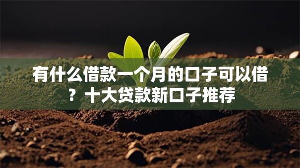 有什么借款一个月的口子可以借?十大贷款新口子推荐 有什么借款一个月的口子可以借?十大贷款新口子推荐