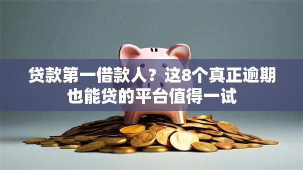 贷款第一借款人？这8个真正逾期也能贷的平台值得一试