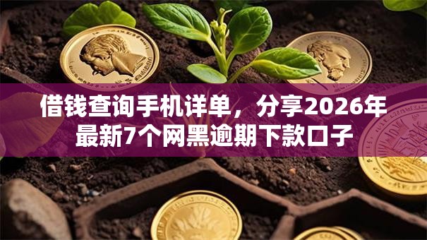 借钱查询手机详单,分享2026年最新7个网黑逾期下款口子 借钱查询手机详单,分享2026年最新7个网黑逾期下款口子