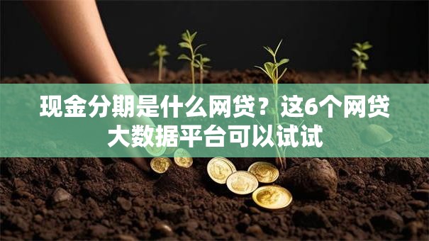现金分期是什么网贷?这6个网贷大数据平台可以试试 现金分期是什么网贷?这6个网贷大数据平台可以试试