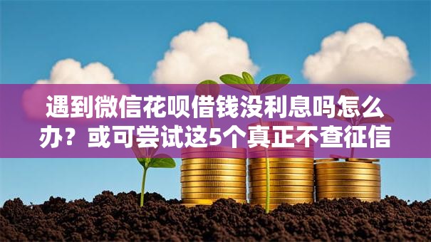 遇到微信花呗借钱没利息吗怎么办？或可尝试这5个真正不查征信的贷款口子