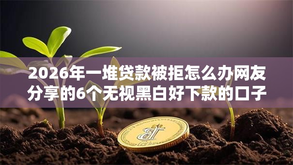 2026年一堆贷款被拒怎么办网友分享的6个无视黑白好下款的口子我觉得不错！