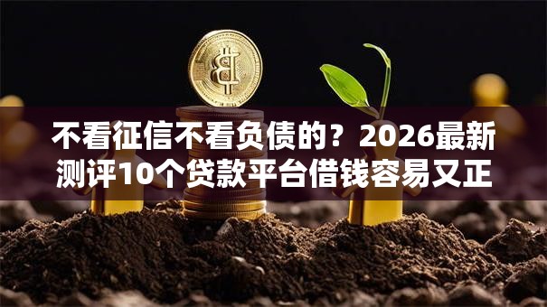 不看征信不看负债的？2026最新测评10个贷款平台借钱容易又正规