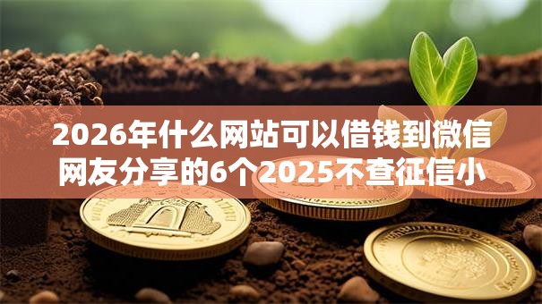 2026年什么网站可以借钱到微信网友分享的6个2025不查征信小额贷款必下口子我觉得不错！