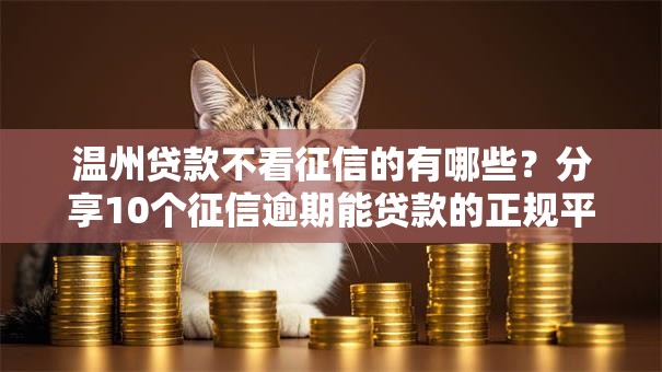 温州贷款不看征信的有哪些？分享10个征信逾期能贷款的正规平台
