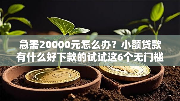 急需20000元怎么办?小额贷款有什么好下款的试试这6个无门槛平台 急需20000元怎么办?小额贷款有什么好下款的试试这6个无门槛平台