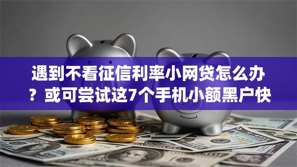 遇到不看征信利率小网贷怎么办？或可尝试这7个手机小额黑户快速贷款app