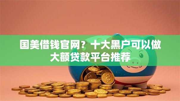 国美借钱官网？十大黑户可以做大额贷款平台推荐