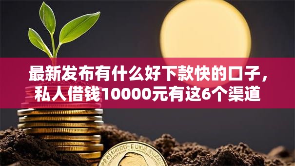 最新发布有什么好下款快的口子，私人借钱10000元有这6个渠道