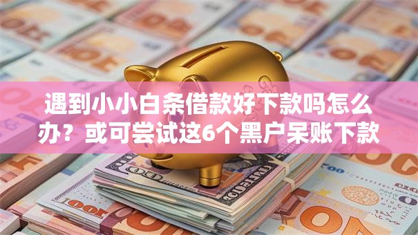 遇到小小白条借款好下款吗怎么办？或可尝试这6个黑户呆账下款口子