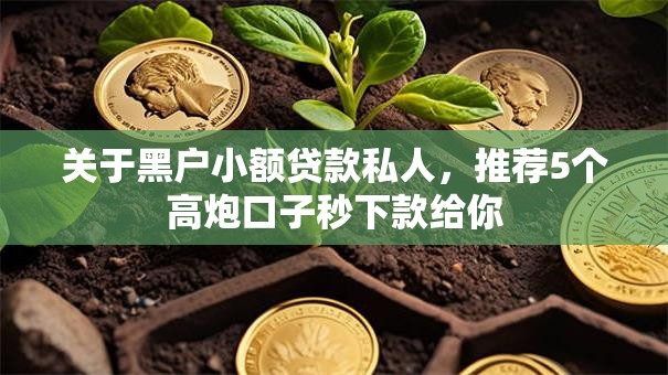 关于黑户小额贷款私人,推荐5个高炮口子秒下款给你 关于黑户小额贷款私人,推荐5个高炮口子秒下款给你