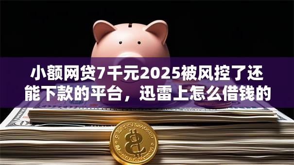 小额网贷7千元2025被风控了还能下款的平台,迅雷上怎么借钱的8个平台介绍 小额网贷7千元2025被风控了还能下款的平台,迅雷上怎么借钱的8个平台介绍