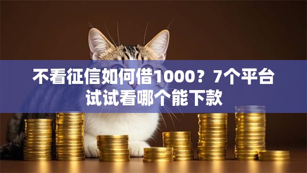 不看征信如何借1000?7个平台试试看哪个能下款 不看征信如何借1000?7个平台试试看哪个能下款
