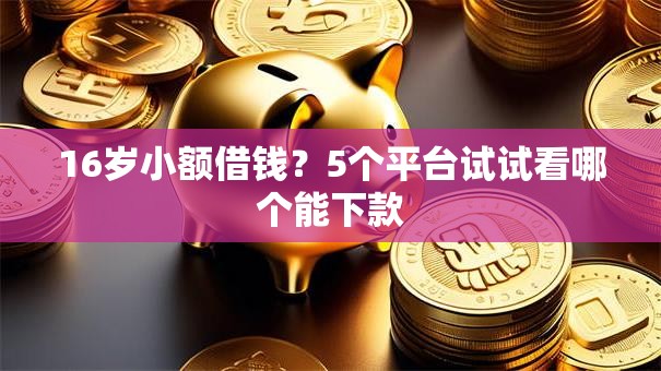 16岁小额借钱?5个平台试试看哪个能下款 16岁小额借钱?5个平台试试看哪个能下款
