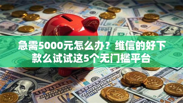 急需5000元怎么办？维信的好下款么试试这5个无门槛平台