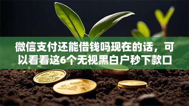 微信支付还能借钱吗现在的话，可以看看这6个无视黑白户秒下款口子软件