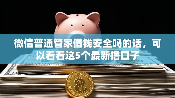 微信普通管家借钱安全吗的话，可以看看这5个最新撸口子