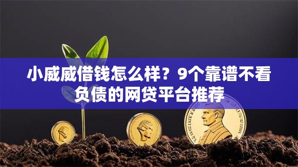 小威威借钱怎么样？9个靠谱不看负债的网贷平台推荐