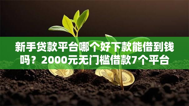 新手贷款平台哪个好下款能借到钱吗？2000元无门槛借款7个平台推荐