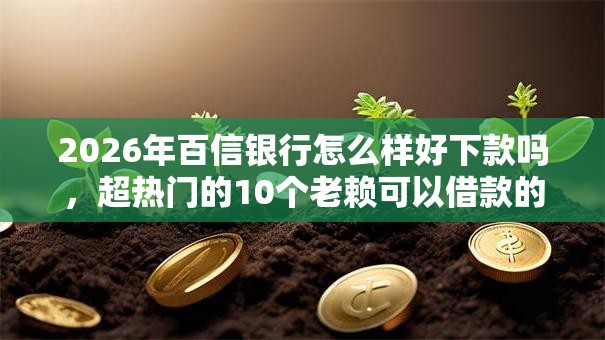 2026年百信银行怎么样好下款吗,超热门的10个老赖可以借款的平台的推荐 2026年百信银行怎么样好下款吗,超热门的10个老赖可以借款的平台的推荐