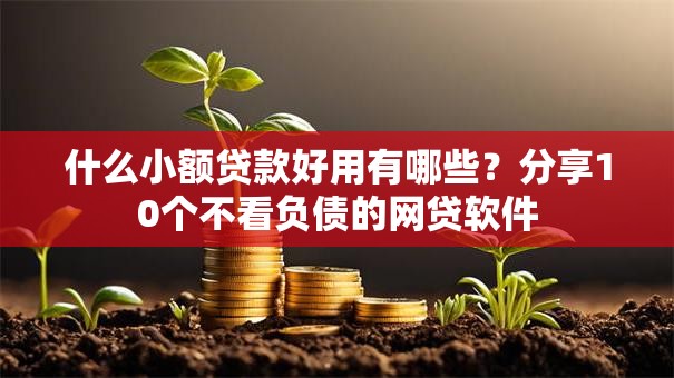 什么小额贷款好用有哪些?分享10个不看负债的网贷软件 什么小额贷款好用有哪些?分享10个不看负债的网贷软件