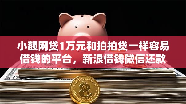 小额网贷1万元和拍拍贷一样容易借钱的平台，新浪借钱微信还款的8个平台介绍