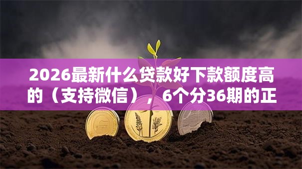 2026最新什么贷款好下款额度高的（支持微信），6个分36期的正规贷款平台无私分享