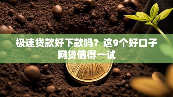极速贷款好下款吗？这9个好口子网贷值得一试