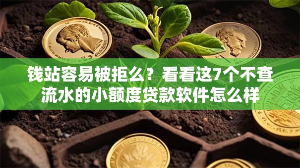 钱站容易被拒么?看看这7个不查流水的小额度贷款软件怎么样 钱站容易被拒么?看看这7个不查流水的小额度贷款软件怎么样