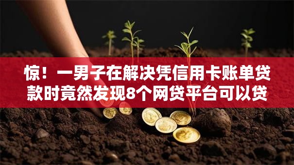 惊！一男子在解决凭信用卡账单贷款时竟然发现8个网贷平台可以贷款，事后分享了出来