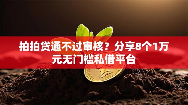 拍拍贷通不过审核？分享8个1万元无门槛私借平台