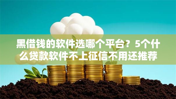 黑借钱的软件选哪个平台？5个什么贷款软件不上征信不用还推荐