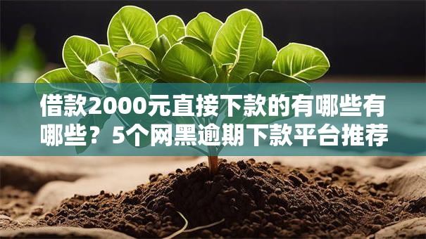 借款2000元直接下款的有哪些有哪些？5个网黑逾期下款平台推荐给你