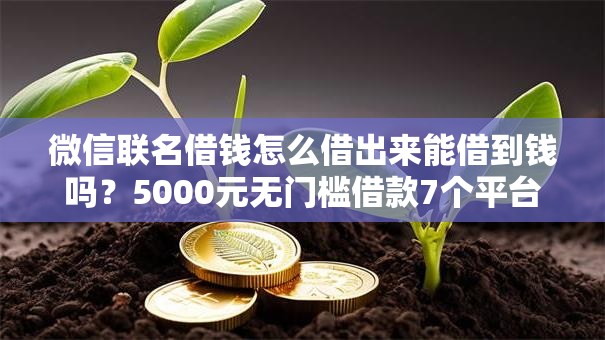 微信联名借钱怎么借出来能借到钱吗?5000元无门槛借款7个平台推荐 微信联名借钱怎么借出来能借到钱吗?5000元无门槛借款7个平台推荐