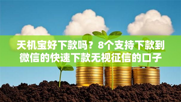 天机宝好下款吗?8个支持下款到微信的快速下款无视征信的口子 天机宝好下款吗?8个支持下款到微信的快速下款无视征信的口子