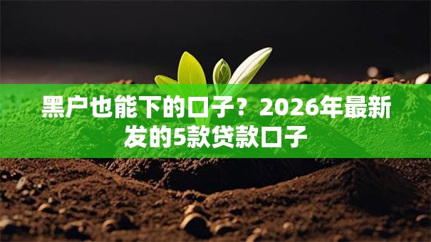 黑户也能下的口子?2026年最新发的5款贷款口子 黑户也能下的口子?2026年最新发的5款贷款口子