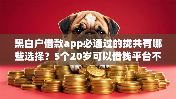 黑白户借款app必通过的拢共有哪些选择?5个20岁可以借钱平台不查征信的口子详解 黑白户借款app必通过的拢共有哪些选择?5个20岁可以借钱平台不查征信的口子详解